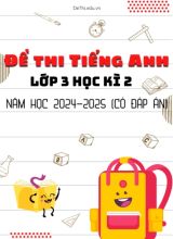 Bộ 22 Đề thi tiếng Anh Lớp 3 học kì 2 năm học 2024-2025 (Có đáp án)
